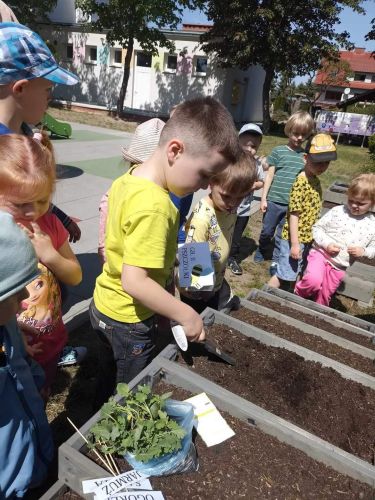 Przedszkolaki z PM1 zakładają ogród warzywny