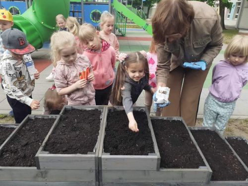 Przedszkolaki z PM1 zakładają ogród warzywny